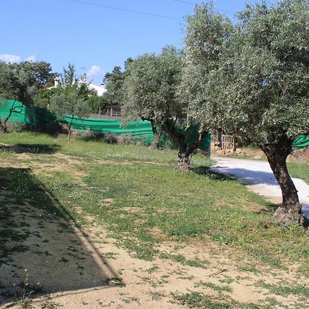 Casa De Campo En Coín Εξωτερικό φωτογραφία