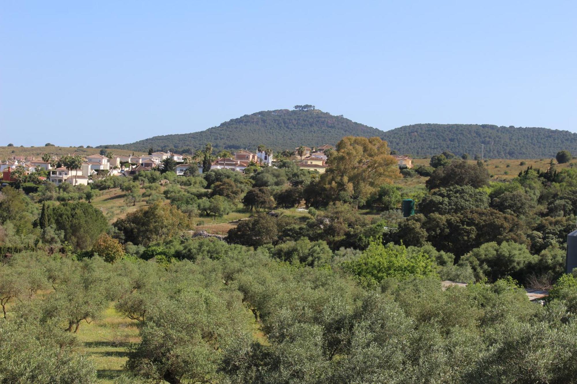 Casa De Campo En Coín Εξωτερικό φωτογραφία