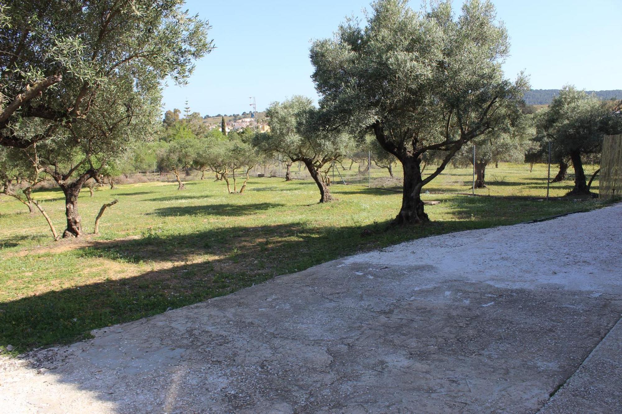 Casa De Campo En Coín Εξωτερικό φωτογραφία
