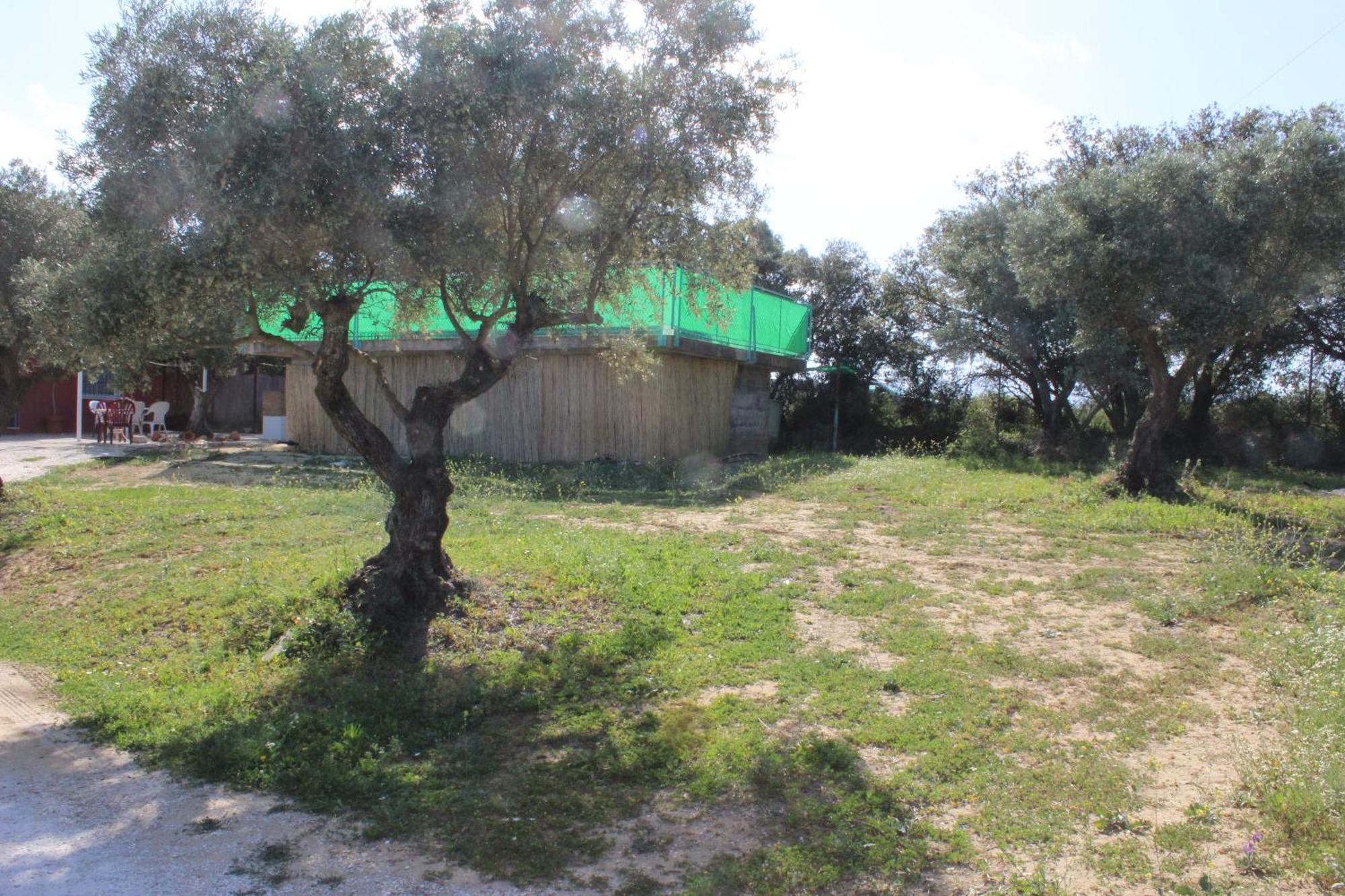 Casa De Campo En Coín Εξωτερικό φωτογραφία